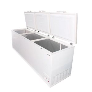 Ларь морозильный AUCMA BD-818 - Изображение 2
